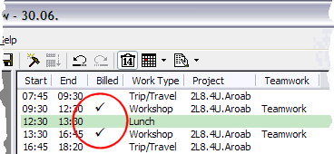 Time management software custom flags.